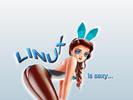 linux108.jpg